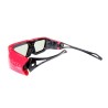 Cinema 3D Glasses HC1PG